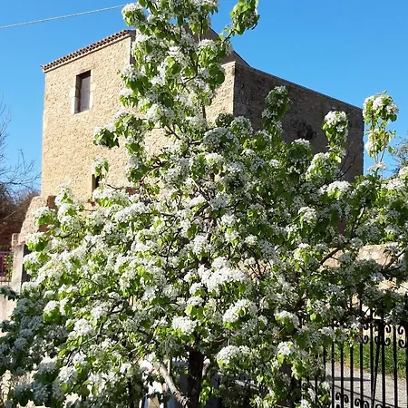 Ferienhaus Pyrgos 1869 With Private Pool Gythio
