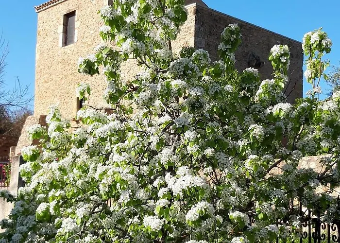 Prázdninový dům Pyrgos 1869 With Private Pool Gythio